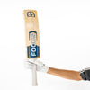 Cricket Bats for sale - Focus Evo Pro Reserve Cricket Bat