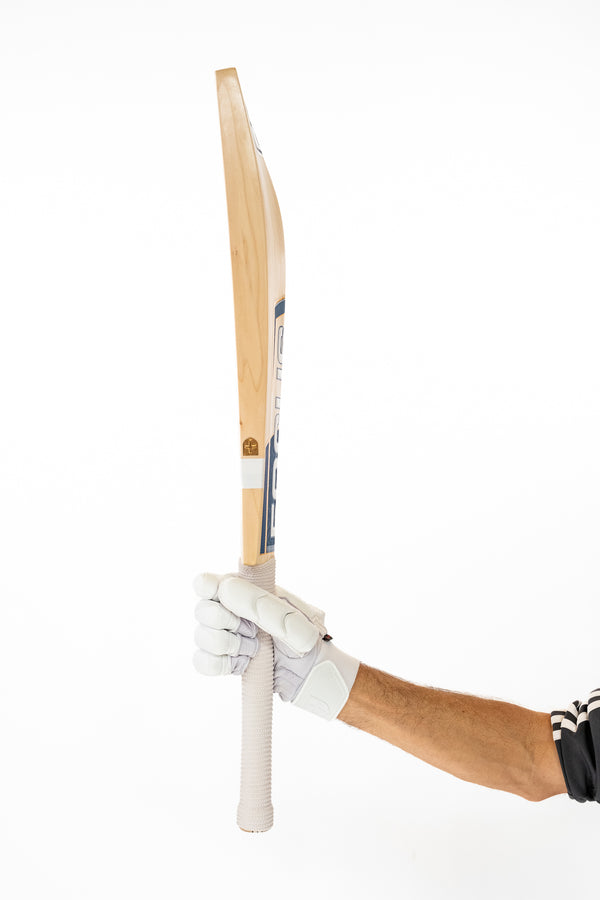 Focus Evo Players Cricket Bat