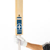 Focus Evo Limited Youth Cricket Bat