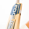 Focus Evo Players Cricket Bat